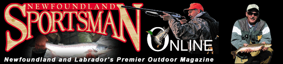 Newfoundland Sportsman